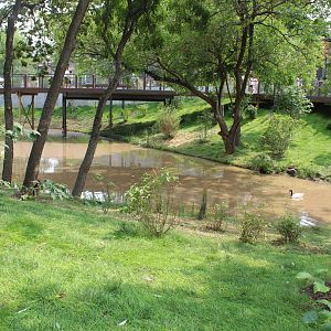 Simmons Aviary Overview