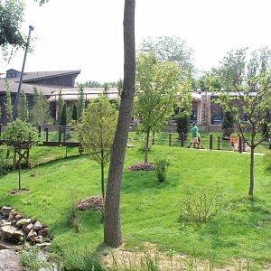 Simmons Aviary Overview