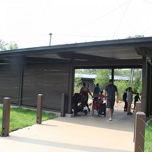 Flamingo Viewing Shelter - Simmons Aviary