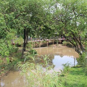 Simmons Aviary Overview