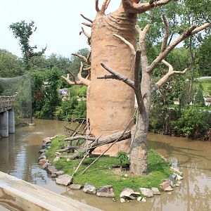 Ring-Tailed Lemur Exhibit - Exhibition Madagascar