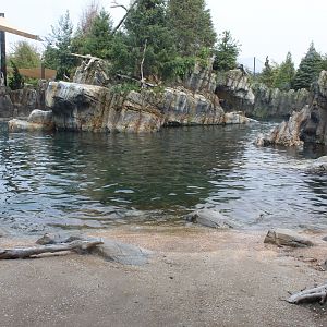California Sea Lion & Harbor Seal Exhibit - Sea Lion Shores