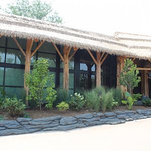 Gorilla Valley Facade