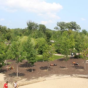 Overview - Children's Adventure Trails