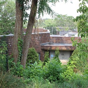 Remains of the Cat Complex (Soon to be Demolished)