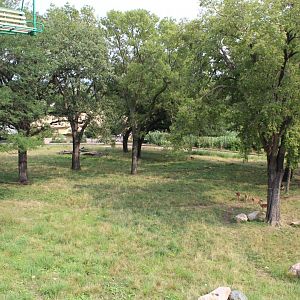 Giraffe, Impala, Lesser Kudu & Ostrich Exhibit - African Grasslands (View from Skyfari)