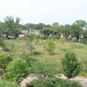 Sable Antelope Exhibit - African Grasslands (View from Skyfari)