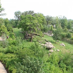 Cheetah Exhibit - African Grasslands (View from Skyfari)