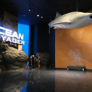 Ocean Voyager Entrance - Aug. 2021