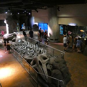 Cold Water Quest - Aug. 2021