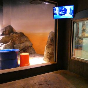 Southern Sea Otter Exhibit/Holding, Cold Water Quest - Aug. 2021