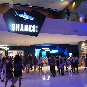 Sharks! Predators of the Deep - Aug. 2021