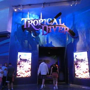 Tropical Diver - Aug. 2021