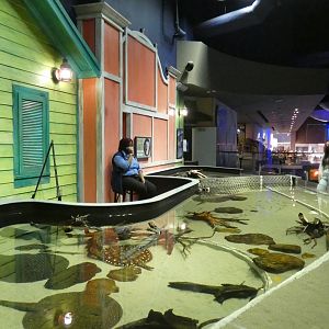 Touch Tank, River Scout - Aug. 2021