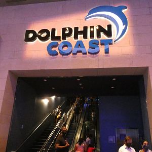 Dolphin Coast - Aug. 2021