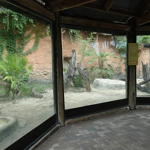 Komodo Dragon Exhibit, Asian Gardens - Aug. 2021