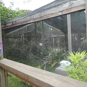 Lorikeet Landing, Asian Gardens - Aug. 2021