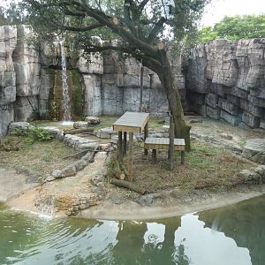 Malayan Tiger Exhibit, Asian Gardens - Aug. 2021