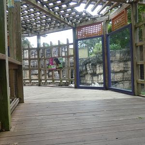 Sun Bear Exhibit, Asian Gardens - Aug. 2021