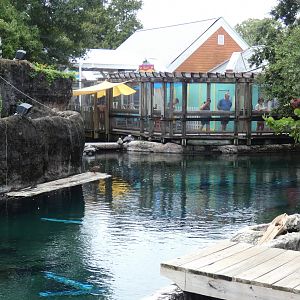 1st Manatee Exhibit (Upper View), Florida - Aug. 2021