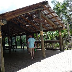 African Painted Dog Viewing Shelter, Safari Africa & The Ituri Forest - Aug. 2021