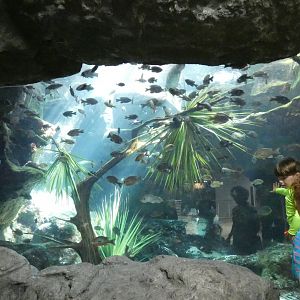 Underground Spring, Wetlands Trail - Aug. 2021