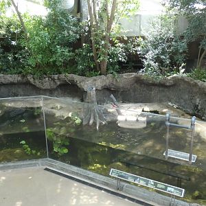 North American River Otter Exhibit, Wetlands Trail - Aug. 2021