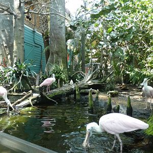 Cypress Swamp, Wetlands Trail - Aug. 2021