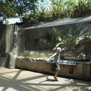 Burmese Python Exhibit, Wetlands Trail - Aug. 2021