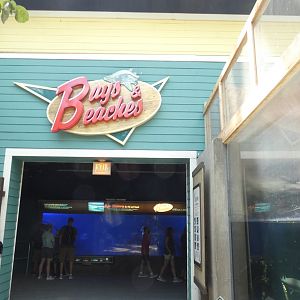 Bays & Beaches - Aug. 2021