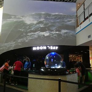 Moon Bay - Aug. 2021
