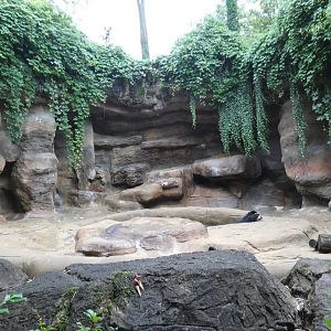 2nd Spectacled Bear Grotto, Lords of the Arctic - Aug. 2021