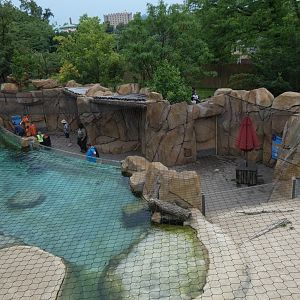 Little Blue Penguin Exhibit, Roo Valley - Aug. 2021