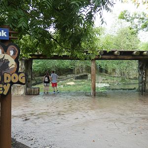Painted Dog Valley, Africa - Aug. 2021