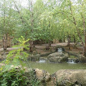 Painted Dog Valley, Africa - Aug. 2021