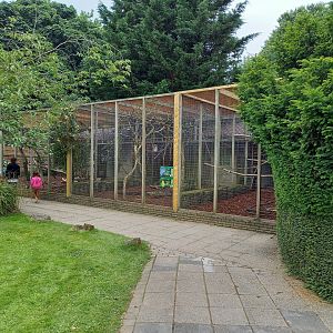 Aviaries Turacos - Crowned pigeon - Hornbill - Parakeet - Fowl