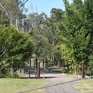 Elephant Enclosure Construction