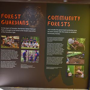 Tiger Temple - New Signage