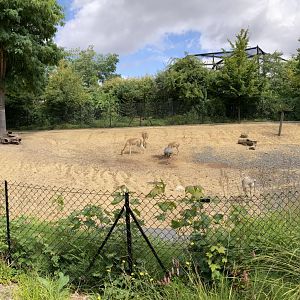 About a third of the Chaco exhibit
