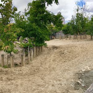Part of the Zebra/rhino/lechwe exhibit