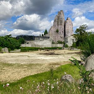 The rock and grassland exhibit