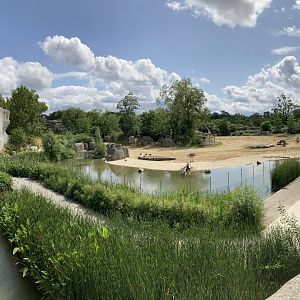 Grassland exhibit panorama