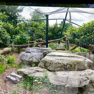 Part of Jaguar exhibit