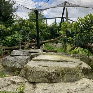 Part of Jaguar exhibit