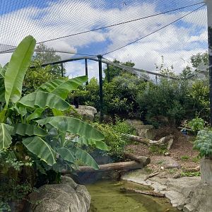 Part of Jaguar exhibit