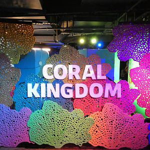 Coral kingdom entrance signage