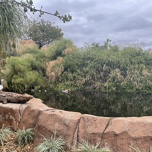 Waterfowl Exhibit
