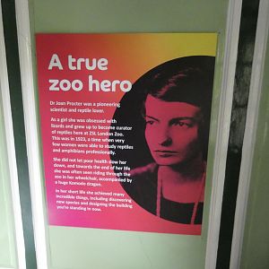 Joan Procter signage