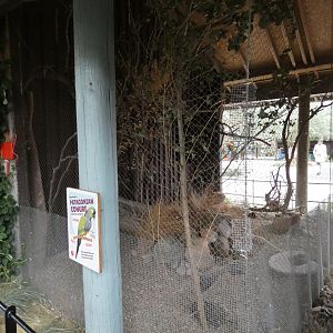 Patagonian macaw aviary