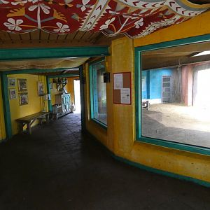 Asiatic lion viewing area